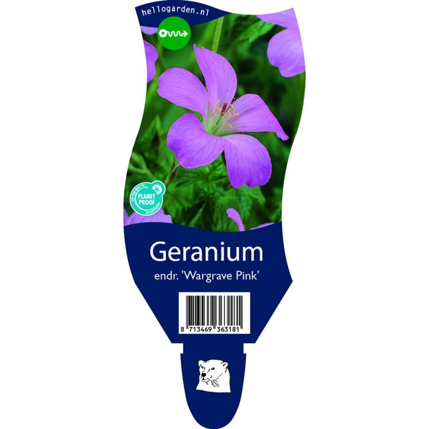 Näva – Geranium endressii 'Wargrave Pink' - P11